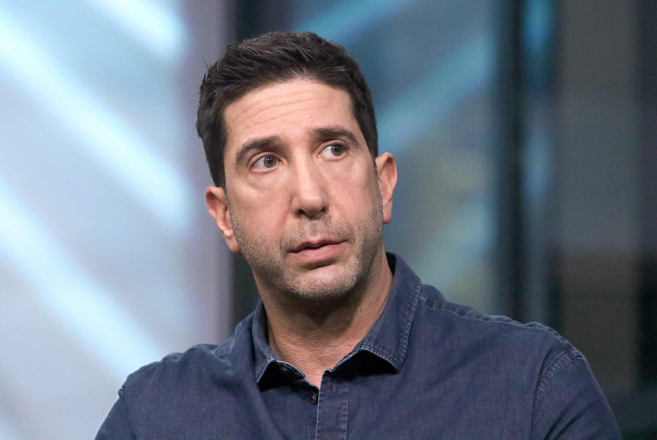 david schwimmer middle age photo in an interview