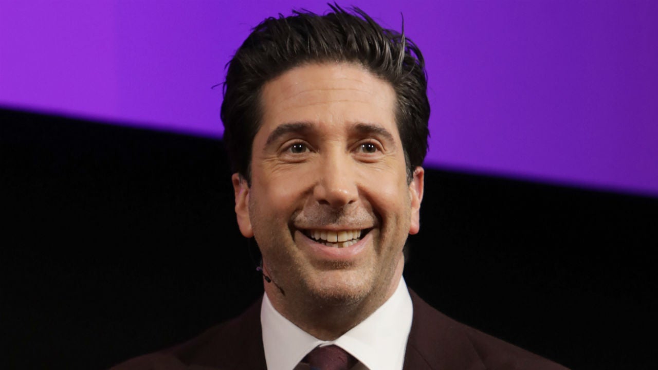 david-schwimmer 5