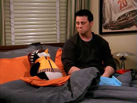 joey with hugsy