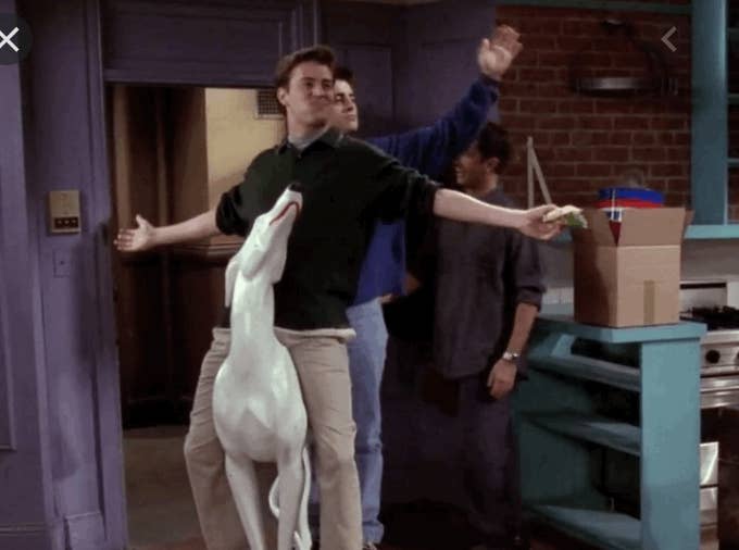 Joey and Chandler Ride Into The Apartment On The Dog