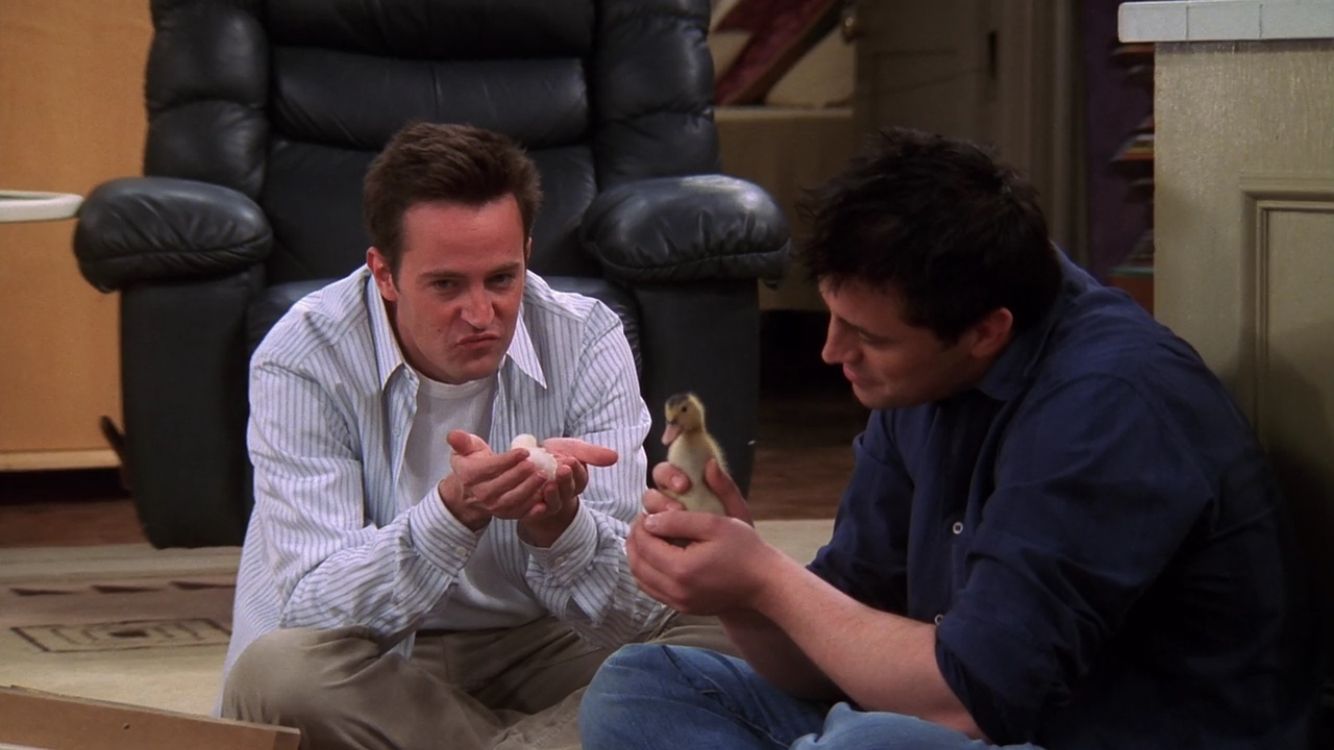 chandler and joey Parenting The Chick And The Duck