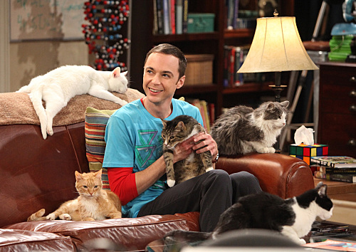 Sheldon's Cat Allergy